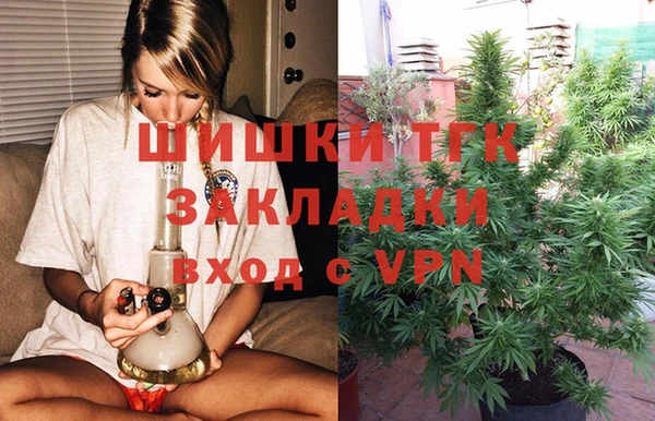 прущие грибы Куйбышев