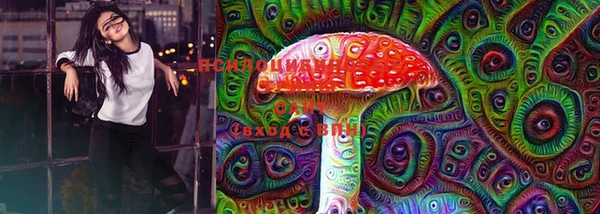 прущие грибы Куйбышев