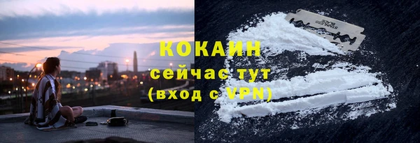 ГАЛЛЮЦИНОГЕННЫЕ ГРИБЫ Лабытнанги