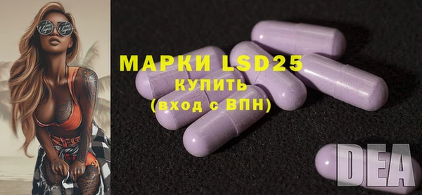 ГАЛЛЮЦИНОГЕННЫЕ ГРИБЫ Лабытнанги