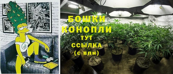 соль курить ск Ладушкин