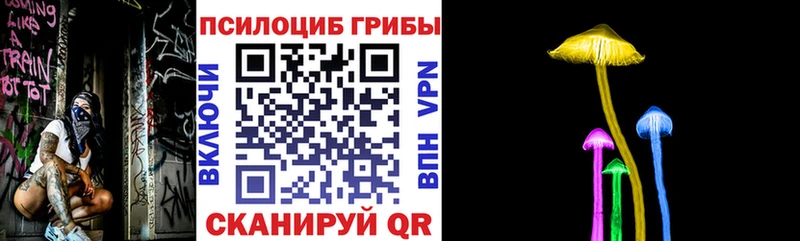 Псилоцибиновые грибы мицелий  купить  сайты  Миньяр 